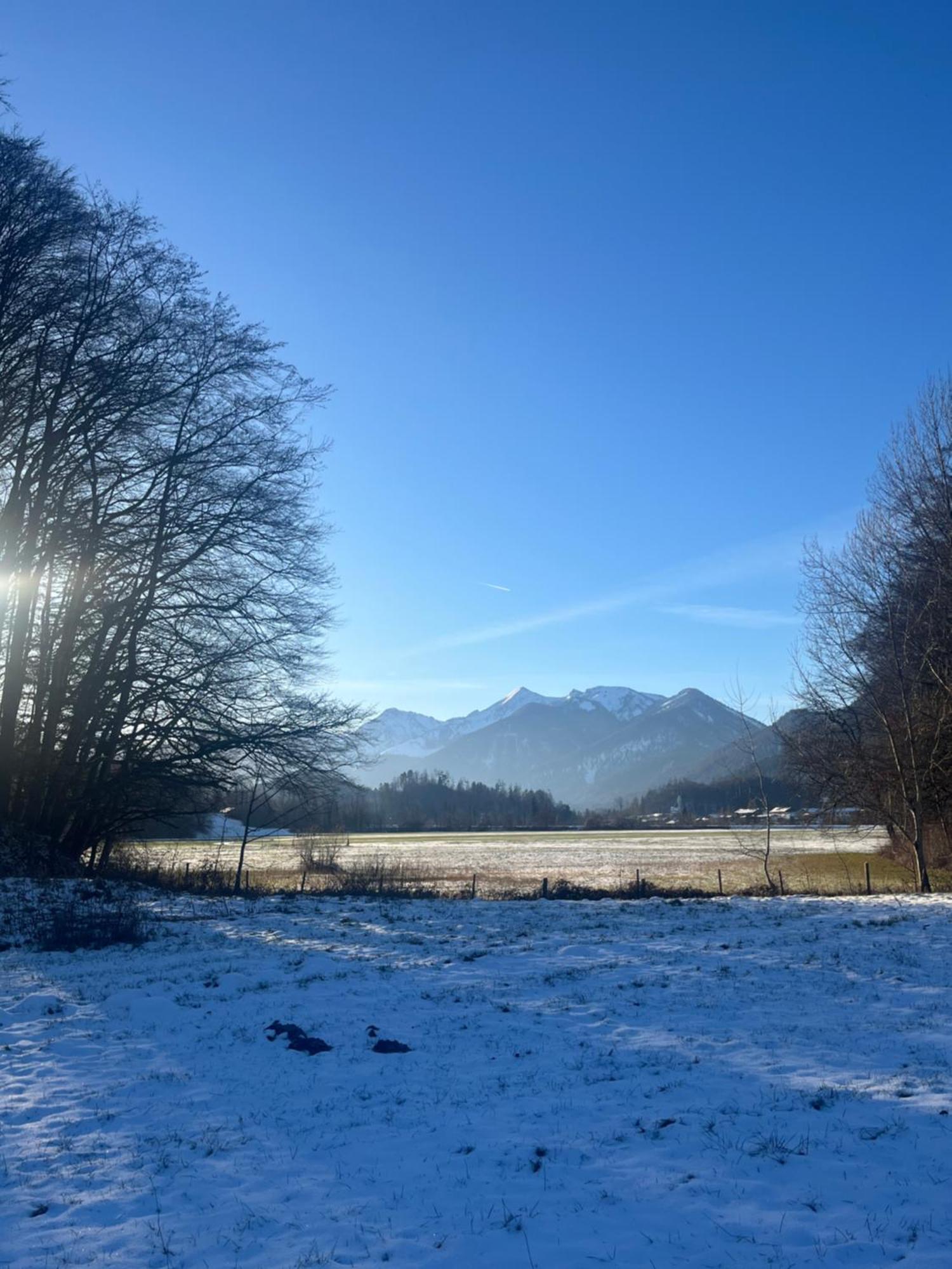 Charmantes Garten-Apartment: Erholung Im Chiemgau Unterwössen Buitenkant foto